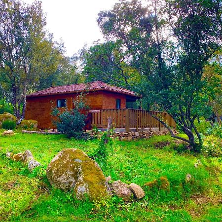 L'Aravone Lodge Sartene  Exterior photo