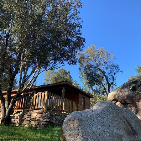 L'Aravone Lodge Sartene  Exterior photo