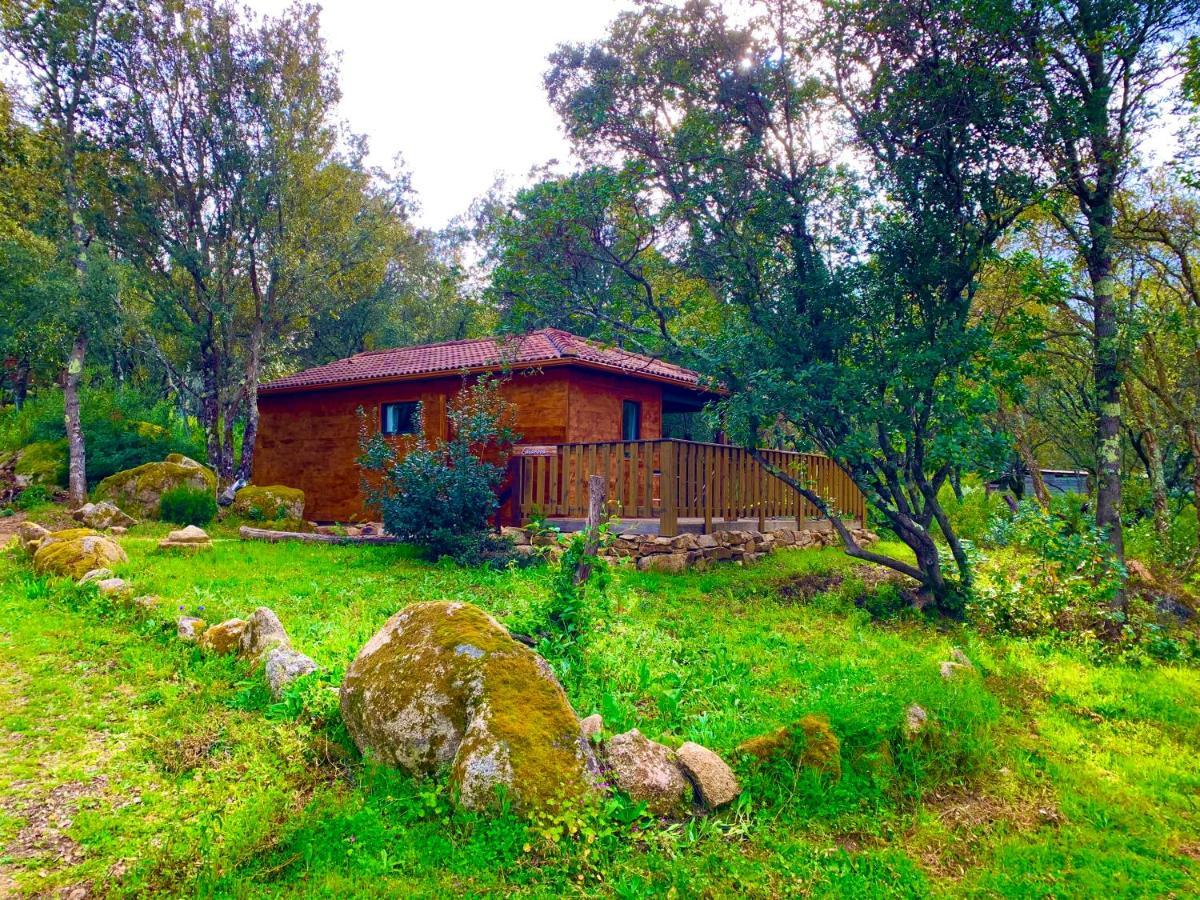 L'Aravone Lodge Sartene  Exterior photo