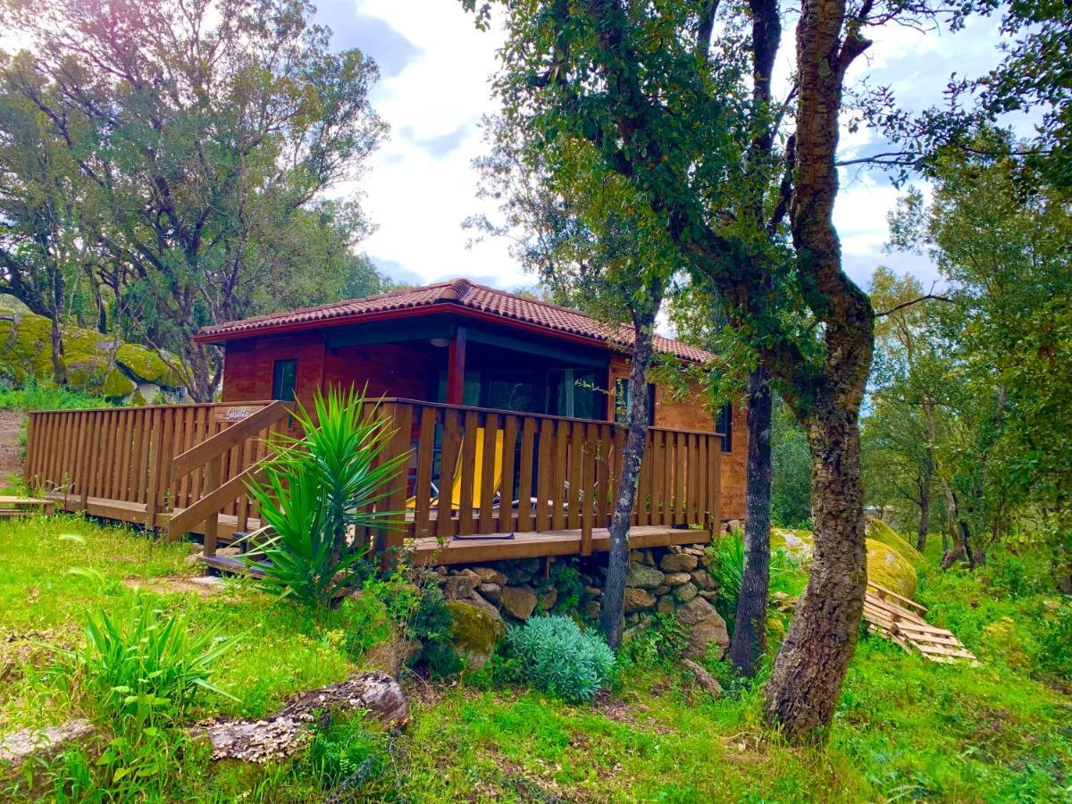 L'Aravone Lodge Sartene  Exterior photo
